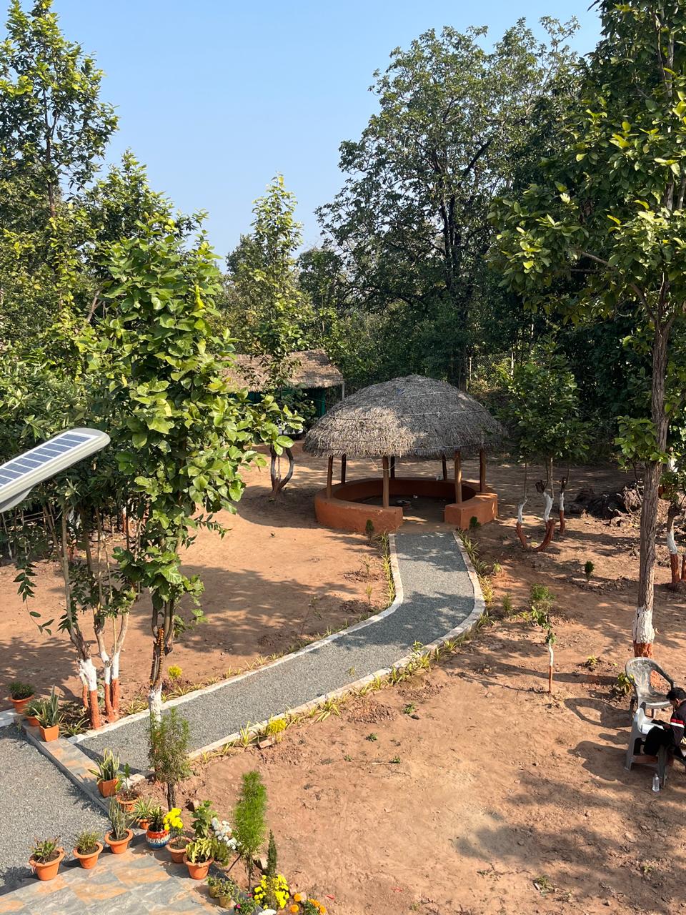 Luxury resort pool with palm trees at sunset